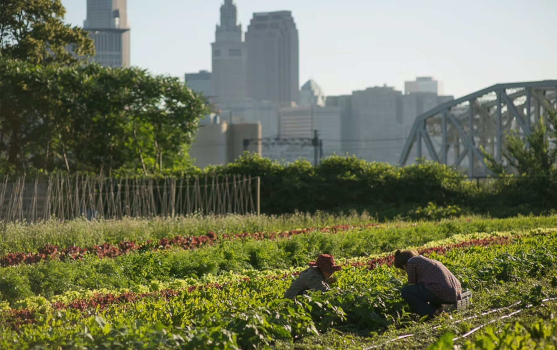 Ohio City Farm